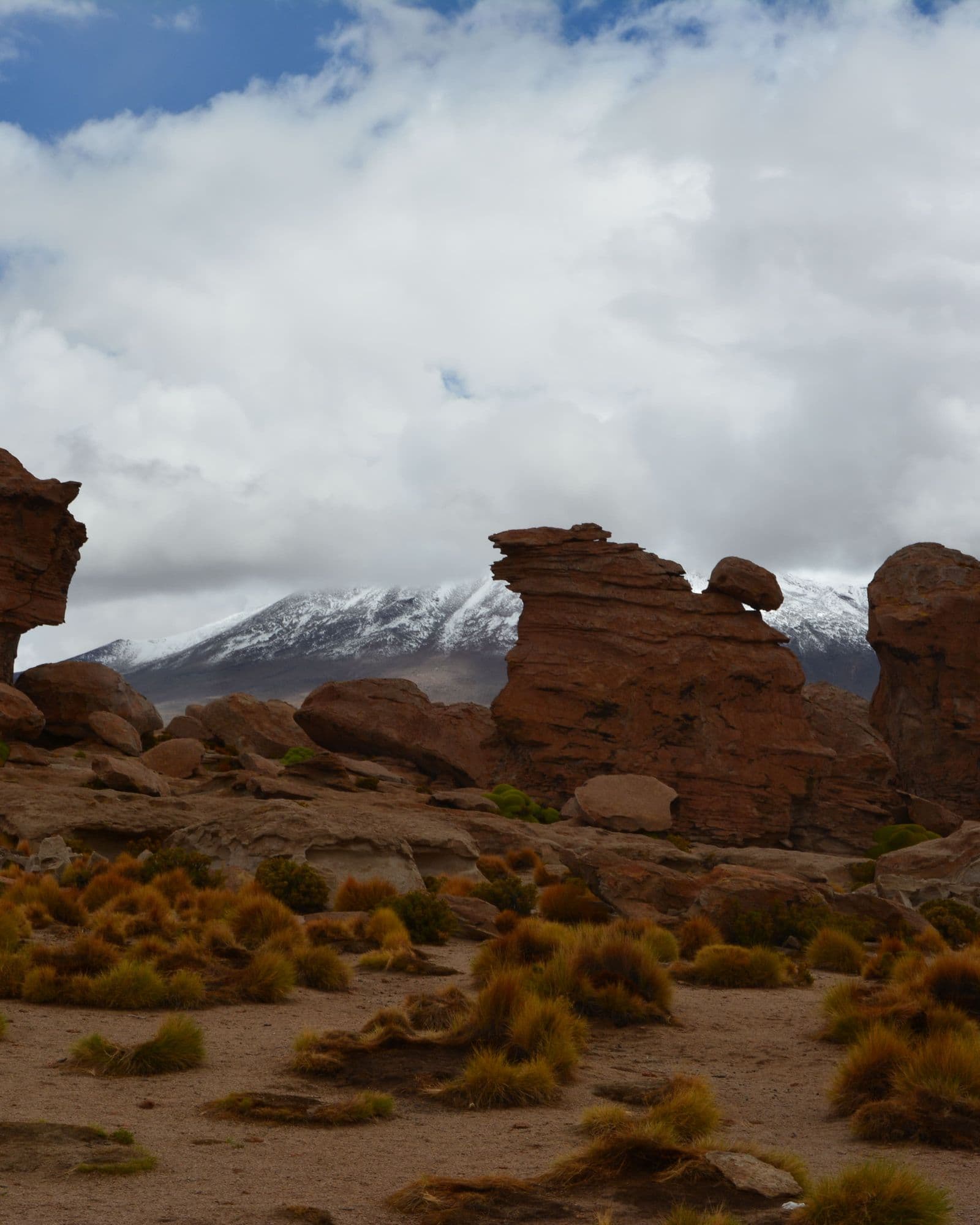 Guardianes del desierto de Potosí