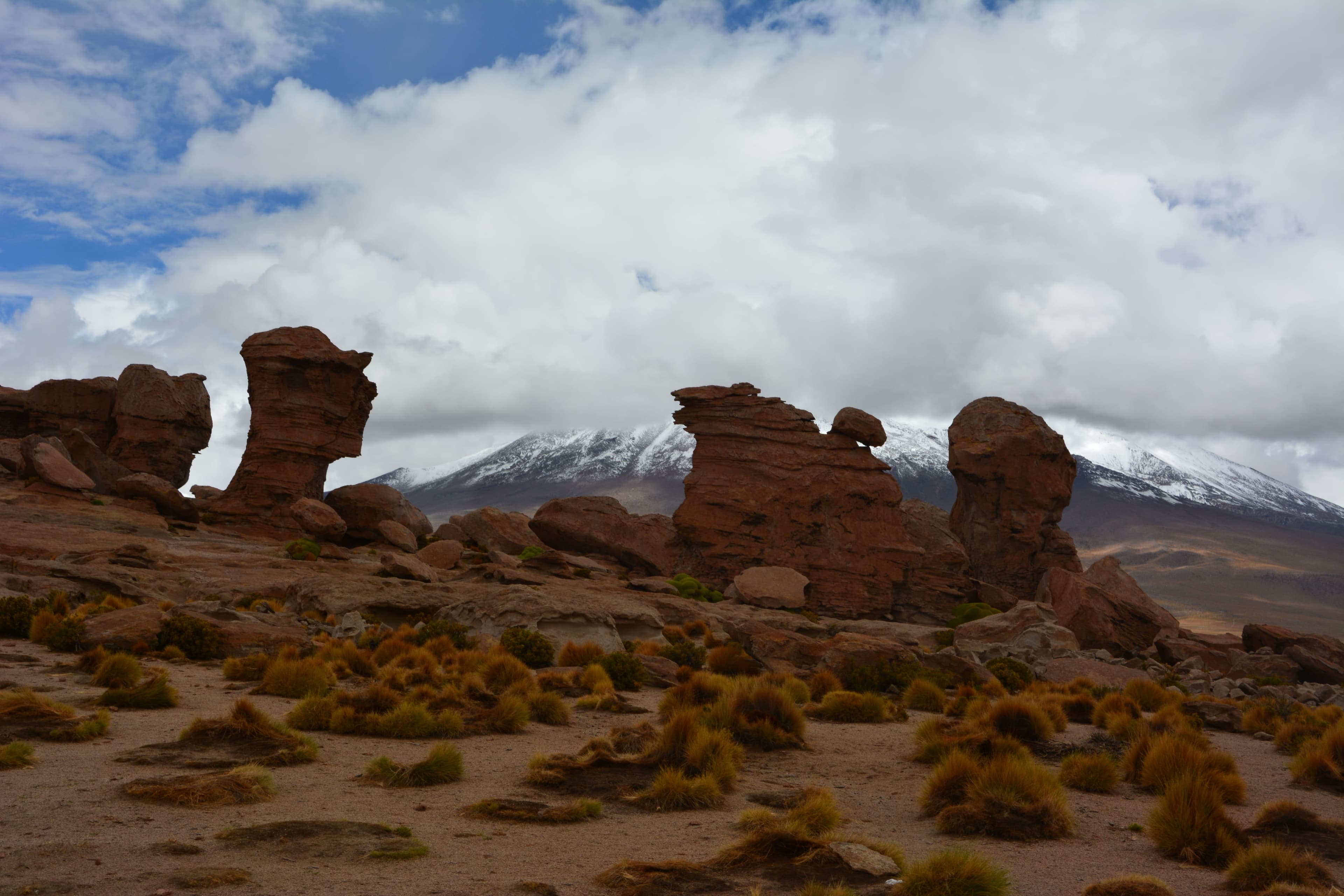 Guardianes del desierto de Potosí